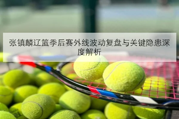 张镇麟辽篮季后赛外线波动复盘与关键隐患深度解析